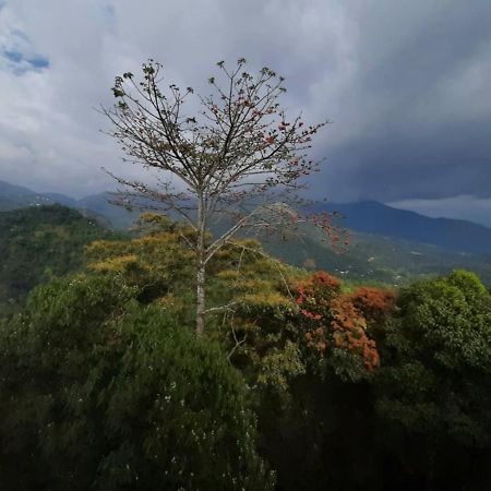 Palmtree Leaf, Munnar 호텔 외부 사진