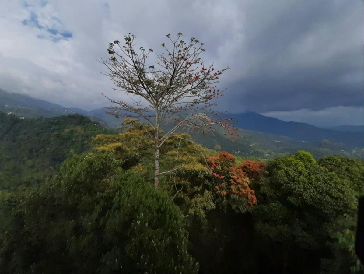 Palmtree Leaf, Munnar 호텔 외부 사진